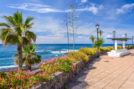 shutterstock_241888552