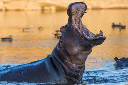 africa-indomavel-desertos-safaris-e-cataratas-1203_3.jpg