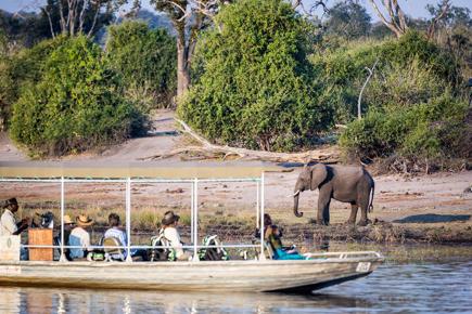 cidade-do-cabo-victoria-falls-e-chobe-325_0.jpg