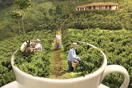 nos-trilhos-do-cafe-e-da-historia-com-medellin-859_0.png