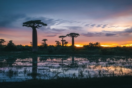 madagascar-de-norte-a-sul-4574_2.jpg