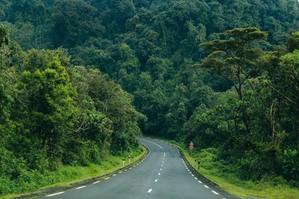 pelos-trilhos-do-ruanda-4163_0.jpg