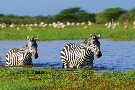 tanzania-express-5897_1.png