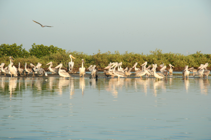 norte-do-senegal-e-sine-saloum_0.jpg
