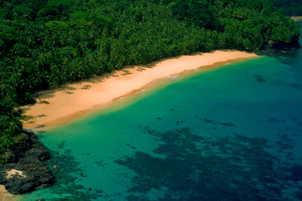 STP_Falcon_Gp._Picture_028