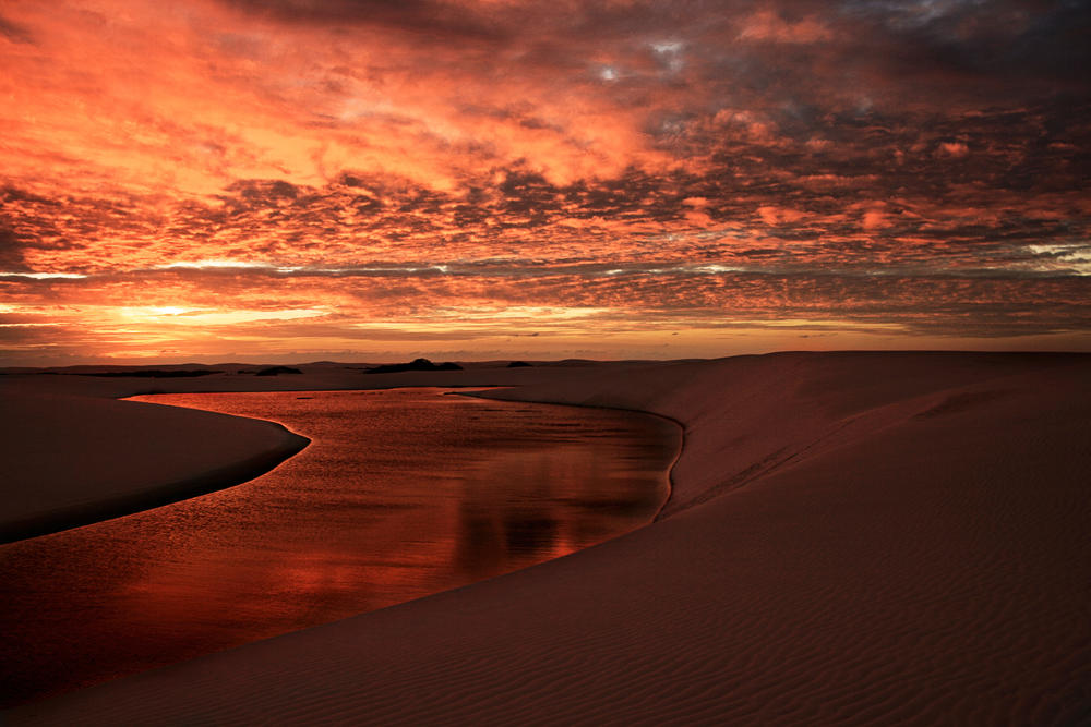 AdobeStock_214398428